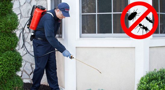 Sungurlu Kene İlaçlama böcek ilaçlama ve haşere kontrolü — ilaclama-tr.com